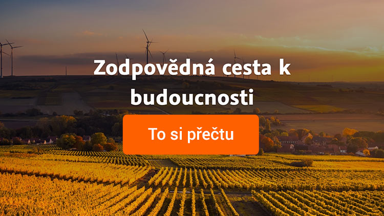 Zodpovědná cesta k budoucnosti - To si přečtu