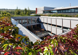 Budova nhq