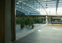 Budova nhq